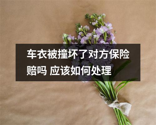 车衣被撞坏了对方保险赔吗 应该如何处理
