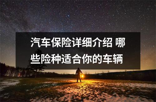 汽车保险详细介绍 哪些险种适合你的车辆