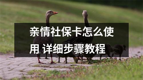 亲情社保卡怎么使用 详细步骤教程