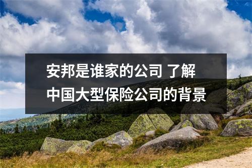 安邦是谁家的公司 了解中国大型保险公司的背景