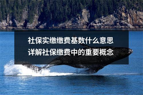 社保实缴缴费基数什么意思 详解社保缴费中的重要概念
