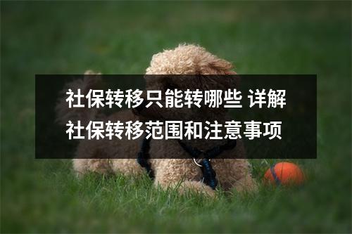 社保转移只能转哪些 详解社保转移范围和注意事项