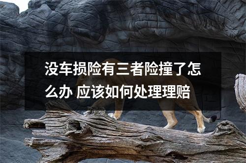 没车损险有三者险撞了怎么办 应该如何处理理赔