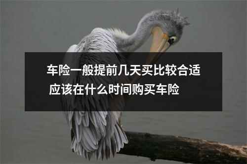 车险一般提前几天买比较合适 应该在什么时间购买车险 