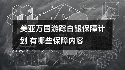 美亚万国游踪白银保障计划 有哪些保障内容 