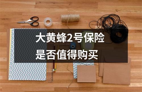 大黄蜂2号保险 是否值得购买 