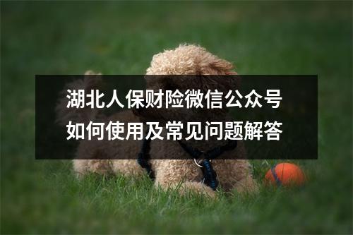 湖北人保财险微信公众号 如何使用及常见问题解答