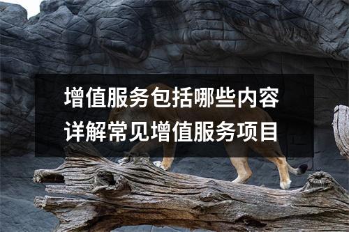 增值服务包括哪些内容 详解常见增值服务项目