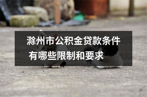 滁州市公积金贷款条件 有哪些限制和要求 