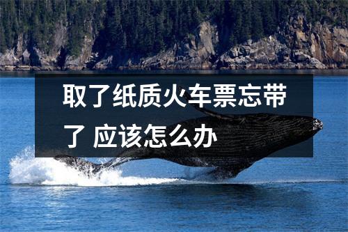 取了纸质火车票忘带了 应该怎么办 