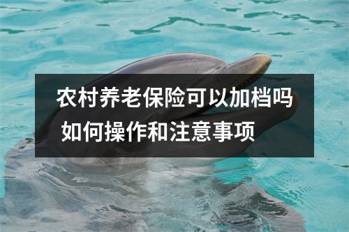 农村养老保险可以加档吗 如何操作和注意事项