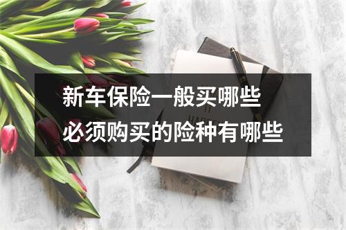 新车保险一般买哪些 必须购买的险种有哪些