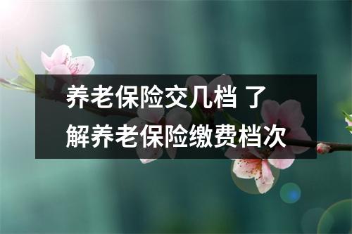 养老保险交几档 了解养老保险缴费档次