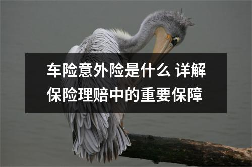 车险意外险是什么 详解保险理赔中的重要保障
