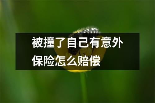 被撞了自己有意外保险怎么赔偿