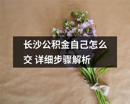 长沙公积金自己怎么交 详细步骤解析
