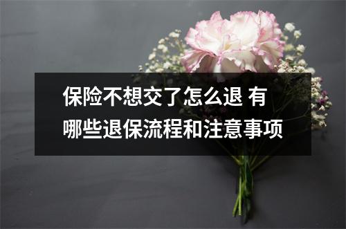保险不想交了怎么退 有哪些退保流程和注意事项