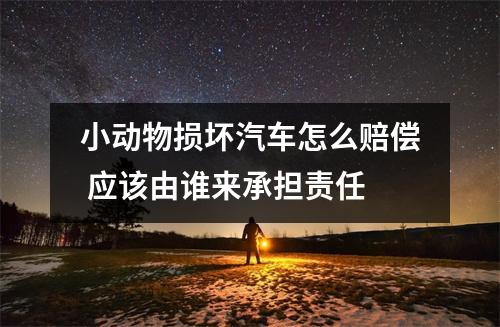 小动物损坏汽车怎么赔偿 应该由谁来承担责任