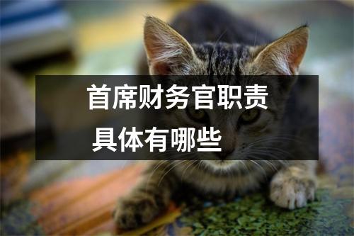 首席财务官职责 具体有哪些 