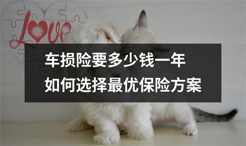 车损险要多少钱一年 如何选择最优保险方案
