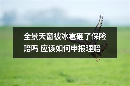 全景天窗被冰雹砸了保险赔吗 应该如何申报理赔