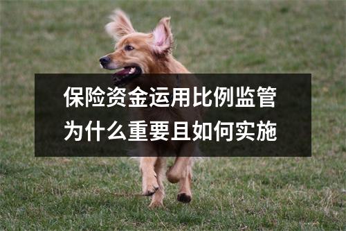 保险资金运用比例监管 为什么重要且如何实施
