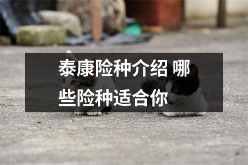 泰康险种介绍 哪些险种适合你 