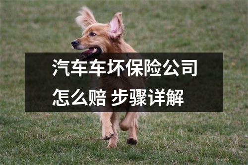 汽车车坏保险公司怎么赔 步骤详解