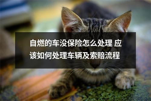 自燃的车没保险怎么处理 应该如何处理车辆及索赔流程