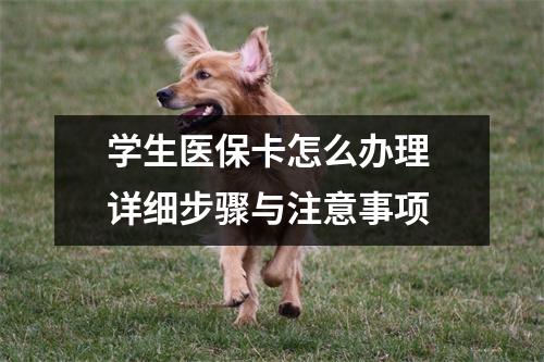 学生医保卡怎么办理 详细步骤与注意事项