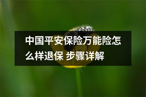 中国平安保险万能险怎么样退保 步骤详解