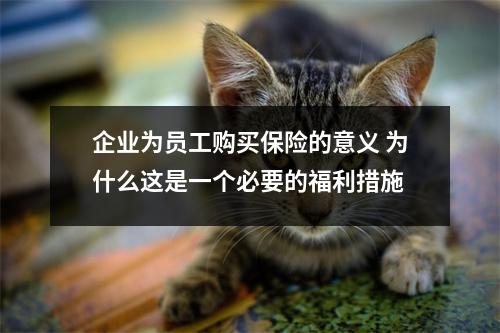企业为员工购买保险的意义 为什么这是一个必要的福利措施