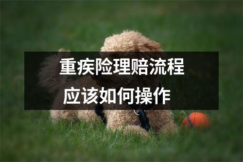 重疾险理赔流程 应该如何操作