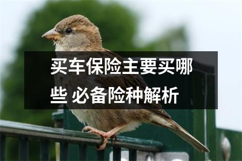 买车保险主要买哪些 必备险种解析