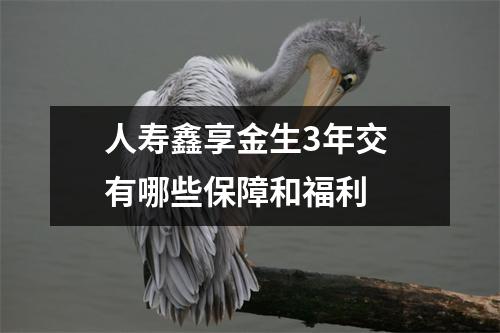 人寿鑫享金生3年交 有哪些保障和福利