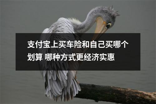 支付宝上买车险和自己买哪个划算 哪种方式更经济实惠