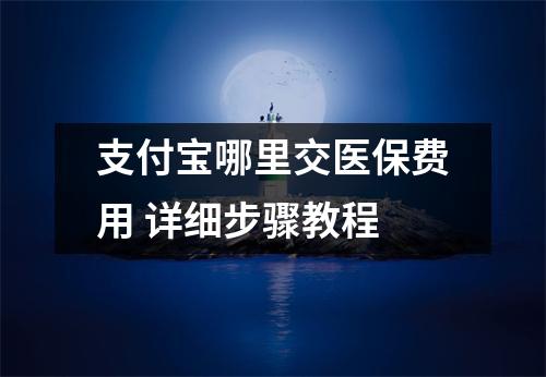 支付宝哪里交医保费用 详细步骤教程