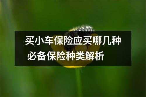 买小车保险应买哪几种 必备保险种类解析