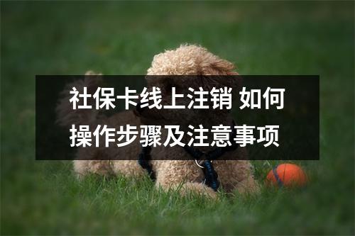 社保卡线上注销 如何操作步骤及注意事项
