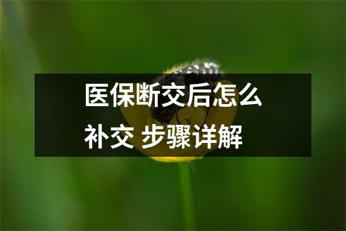医保断交后怎么补交 步骤详解