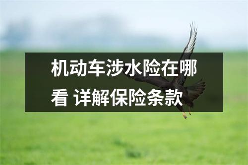 机动车涉水险在哪看 详解保险条款