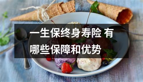 一生保终身寿险 有哪些保障和优势