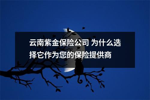 云南紫金保险公司 为什么选择它作为您的保险提供商 