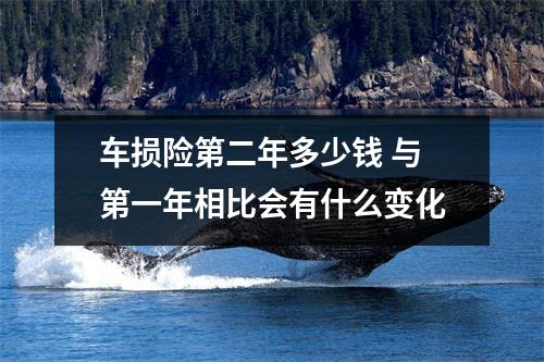 车损险第二年多少钱 与第一年相比会有什么变化