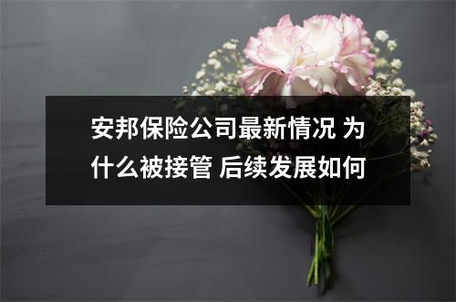 安邦保险公司最新情况 为什么被接管 后续发展如何