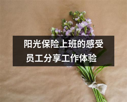 阳光保险上班的感受 员工分享工作体验