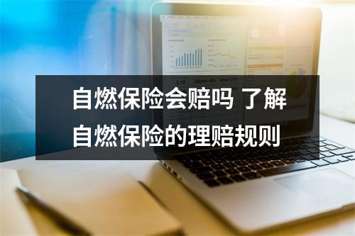 自燃保险会赔吗 了解自燃保险的理赔规则