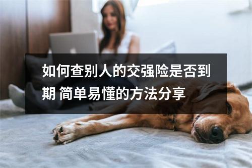 如何查别人的交强险是否到期 简单易懂的方法分享