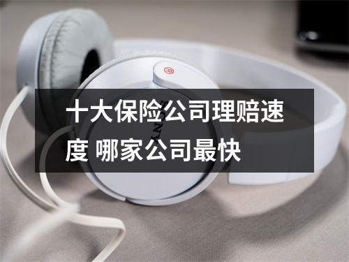 十大保险公司理赔速度 哪家公司最快 