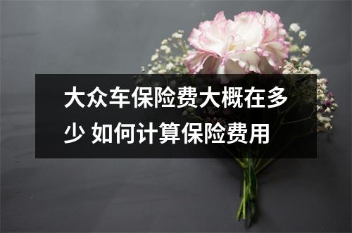 大众车保险费大概在多少 如何计算保险费用